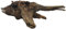 Amtra Legno Mystic Wood - Decorazione per acquario naturale, per acquario, paludari e terrari, 30-40 CM