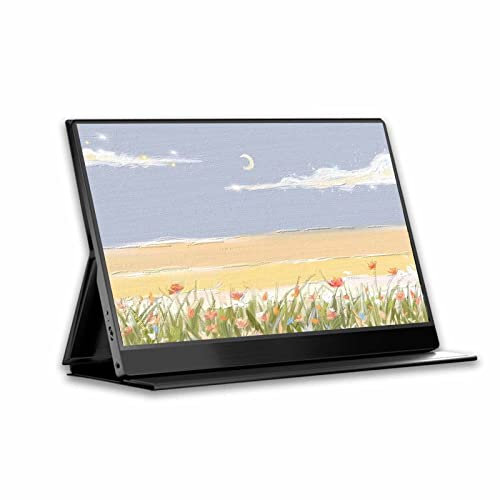 Bdt Monitor portatile da 12,5 pollici Mini display 4K Il computer portatile portatile for esterni espande il campo visivo ultra ampio con lo stesso schermo