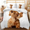 ZZXHG Bettwäsche 155x220 Brauner Golden Retriever Hund, Weich Mikrofaser Kinderbettwäsche Set Jungen Mädchen Einzelbett, Bettbezug Set mit Reißverschluss und 2 Kissenbezug 80x80 cm