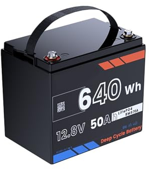 HJGHY Batteria LiFePO4 da 100 Ah, 50 Ah, 12,8 V, Fino a 15.000+ cicli Profondi, Ricaricabile al Litio per Motore Elettrico Solare, Camper, fishfinder, Ruote elettriche,12.8v,50Ah