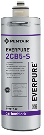 Everpure EV961722 2CB5-S Filter Cartridge