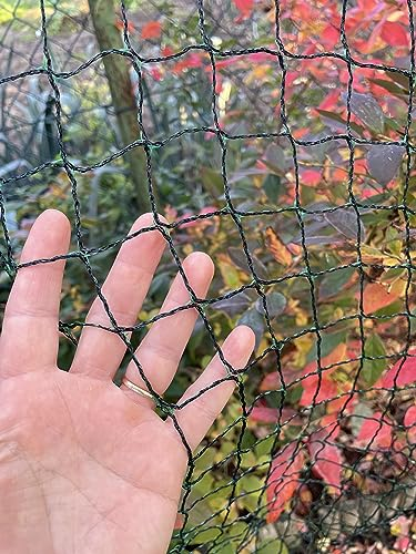 F & R Vogelschutznetz für Garten, Engmaschiges Schutznetz, Maschengröße 20 x 20 mm, Gartennetz gegen Vögel, Laub & Schmutz, Teichnetz, Laubschutznetz, Netz für Teich, Obst & Gemüse, 8 x 8 m (64 m²)