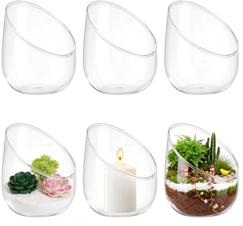INTERWARM 6 Terrarium en Verre Transparent pour Plantes Aériennes Vases Ronds en Verre Transparent de 12.2cm Vase/Terrarium pour Plante Succulente et Cactus Idéal pour la Décoration Intérieure