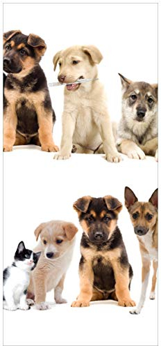 Wallario Selbstklebende Türtapete Süße Haustiere - Katzen Hunde Hamster Küken - Türposter 93 x 205 cm Abwischbar, rückstandsfrei zu entfernen