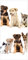 Wallario Selbstklebende Türtapete Süße Haustiere - Katzen Hunde Hamster Küken - Türposter 93 x 205 cm Abwischbar, rückstandsfrei zu entfernen