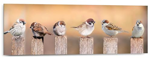 REINDERS Wandbild, Vogelfamilie, Schlafzimmer, Bilder, Wanddeko, Room Decor, MDF, Braun, 30x90cm