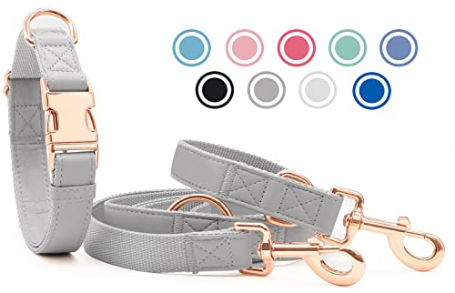 Weich Leder Hundehalsband und Leine (2m) Set - 3-Fach Verstellbar Hundeleine mit Halsband, Stilvollen Rose Gold Metall Schnalle & Nylon Hund Leinen für Welpen Kleine Mittlere Große Hunde Grau,S