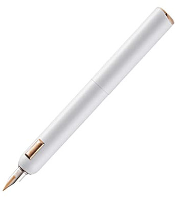 Füllfederhalter zum Schreiben Metall Füllfederhalter 14k Gold Spitze Business Tinte Stift Atemberaubende Luxus Stift Geschenkbox Herren und Damen Geschenke Special Collection Füllfederhalter