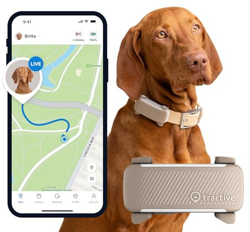 Tractive - GPS per cani | 2025 Edizione | N. 1 sul mercato | Localizzazione in tempo reale | Notifiche antifuga | Monitoraggio dell'attività | Avvisi di salute | Monitoraggio degli abbai (Marrone)