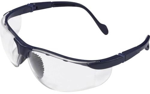 protectionworld Schutzbrille Eagle Eye + 2,5 2012010