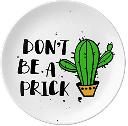 Don 't Be A Prick Kaktus-Teller, dekoratives Porzellan, Salver Geschirr, Abendessen