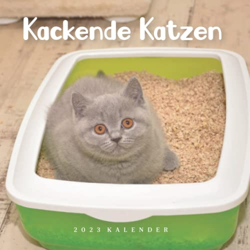 Kackende Katzen Kalender: Wandkalender 2023 - 8.5x8.5 inches - Geschenke für Familie und Freunde