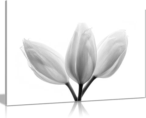 Panther Print Fine Art Prints Bright White Tulip Flowers Artistic Framed Canvas Print, Pictures for Home Walls, Bedroom, Living Room & Bathroom Decor 46x31cm (18x12in)