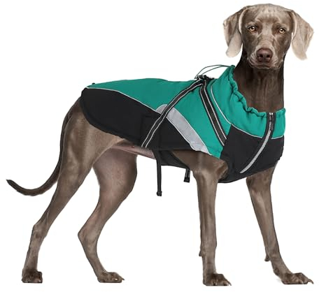 Hundemantel Wasserdicht, Winter Doppelseitig Wasserdicht Hundejacke mit Geschirr & Reflektorstreifen, Hundemantel für Mittlere und Große Hunde (L)