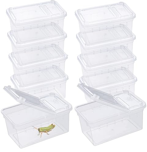 Reptilien-Futterbox, transparent, Tier-Lebensraum, Käfig, Spinne, Terrarium, Kunststoff-Brutbox für Reptilien, Schildkröte, Spinne, Frosch, Skorpion, Schlange (11 x 7 x 5,5 cm)