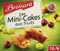 Brossard 10 Mini Gâteaux aux Fruits la Boîte de 300 g