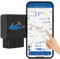 4G LTE OBD GPS Tracker Fahrzeug Tracker Echt-Zeit Tracking GPS Locator OBDII Stecker & Play Fahren Verhalten Monitor Tow Alarm Bewegung Crash Erkennung Freies Web APP