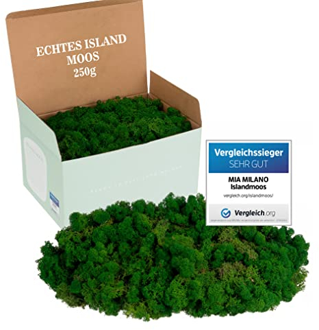 Mia Milano Islandmoos konserviert dunkkelgrün I Moos Deko zum Basteln I 250g Echtes dunkelgrünes Dekomoos Isländisch für Moosbild, Mooswand lebend