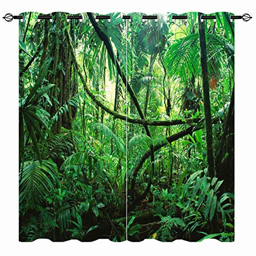 YUANZU Regenwald Vorhänge Tropischer Wald Pflanze Ösen Gardinen mit Blickdichte Thermo Vorhang Kälteschutz Blackout Curtain Wohnzimmer Schlafzimmer Verdunkelung Fenster, 2 Stück, H 160 x B 106 cm