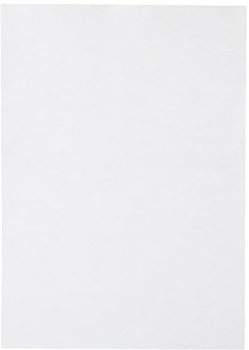 Clairefontaine 24385C 25 Blatt Briefpapier Pollen A4 210g Perlmutt Weiß