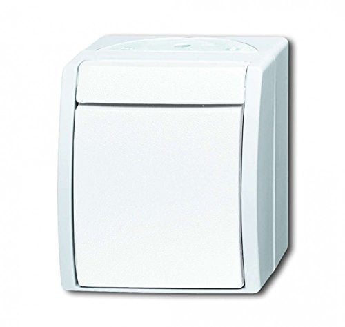 Busch-Jaeger 2621 W-54 Wipptaster Schließer (Thermoplast) Alpinweiß ocean® (IP 44) 2CKA001484A0380