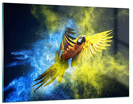 Wandbilder Dekoration Wohnzimmer Papagei Vogel Feder Bilder auf Glas 120x80cm Glasbild Schlafzimmer Küche Deko Wand Kunstdruck Art Groß XXL Wanddeko Bild im Glas Modern Wall Decor GAA120x80-3666
