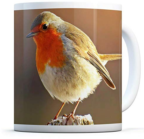 Robin Redbreast Bird - Drinks Mug Cup Kitchen Birthday Office Fun #8701