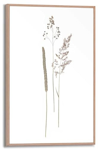 REINDERS Gerahmtes Bild, Dried Flowers, Wohnzimmer, Poster, Wanddeko, Room Decor, MDF, Beige, 30x20cm