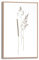 REINDERS Gerahmtes Bild, Dried Flowers, Wohnzimmer, Poster, Wanddeko, Room Decor, MDF, Beige, 30x20cm