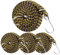 Lot de 4 tendeurs élastiques réglables avec crochets, 2 m - Résistants - Longs et plats - Pour vélos, camping, location, bagages - Jaune