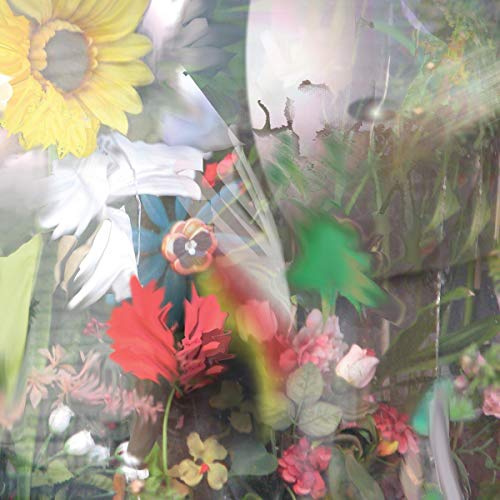 Polyvinyl