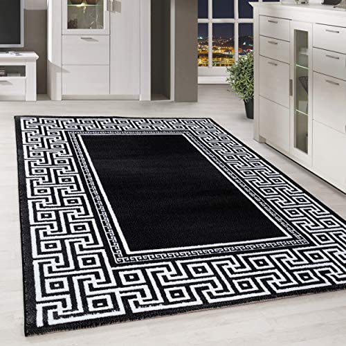 HomebyHome Teppich Wohnzimmer 160x230 cm Rechteckig Schwarz Kurzflor Bordüre Design - Teppich Schlafzimmer, Esszimmer, Küche Flauschiger Extra Weich Tepich Waschbär Einfache Reinigung