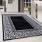 HomebyHome Teppich Wohnzimmer 160x230 cm Rechteckig Schwarz Kurzflor Bordüre Design - Teppich Schlafzimmer, Esszimmer, Küche Flauschiger Extra Weich Tepich Waschbär Einfache Reinigung