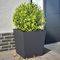 JHQHSM Fioriere da Giardino 2 pz, Rialzato da giardino Contenitore per piante Vasi per piante Fioriere da esterno Adatto per Bar Patio Caffetterie Giardino Antracite 50x50x50 cm in Acciaio