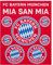 FC Bayern München Aufkleberbogen / Aufkleber / Sticker 9er Set FCB