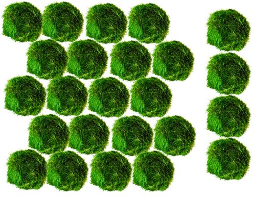 Marimo Moss Balls Aquarium Aquatic Plant Easy Betta Cherry Shrimp Java (20 (+4 Free))
