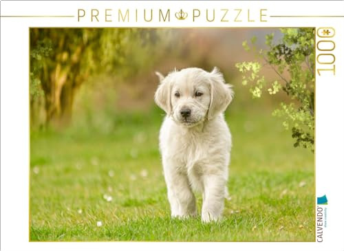 CALVENDO Puzzle EIN Motiv aus dem Kalender Golden Retriever... Herzenshunde | 1000 Teile Lege-Größe 64 x 48 cm Foto-Puzzle für glückliche Stunden