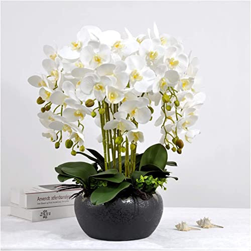 CCKUHN Orchidées artificielles en Vase carré en Faux Pot, Fausses orchidées, 12 tiges, Grandes Fleurs artificielles de Phalaenopsis, Ornement (Couleur 2)
