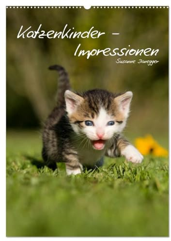 Katzenkinder - Impressionen (Wandkalender 2026 DIN A2 hoch), CALVENDO Monatskalender: Kleine Katzen ganz groß. (CALVENDO Tiere)