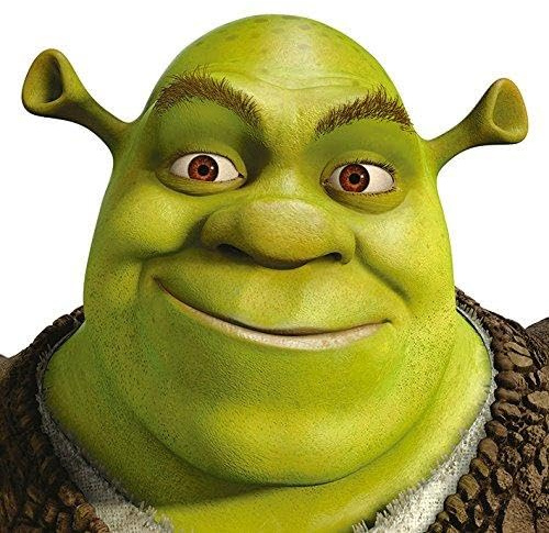 Shrek Leinwanddruck, Polyester, Mehrfarbig, 40 x 40 cm