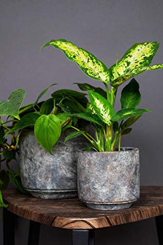 Tivoli planter earth D16 H15