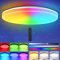 RGB LED Deckenlampe Dimmbar mit Fernbedienung, 36W 3600LM Deckenleuchte Farbwechsel mit 7 Farben, IP54 Wasserdichte Badezimmerleuchte für Wohnzimmer, Schlafzimmer, Kinderzimmer Bad Flur φ33*4.8cm