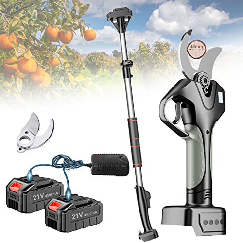 Sécateurs sans fil Sécateur électrique professionnel,45mm Ciseaux élagage Rechargeable avec rallonge Cisailles de jardin,2x Batterie 4.5Ah et 1/2/3x lame de rechange ( Color : With Extension Pole , Si