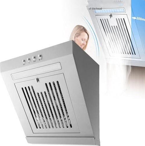 Cappa Aspirante Piccola In Acciaio Inossidabile, Cappa A Camino, Cappa Aspirante Laterale Da 230 W Con LED, 17 M³/min, LED, Aspiratore a Parete Da 400 mm/600mm,400mm