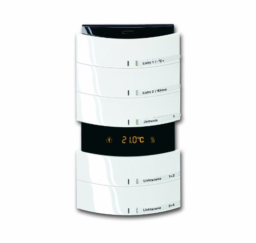 Busch-Jaeger 6320/58-24G Bedienelement 5/10-fach, mit Infrarotschnittstelle und Raumtemperaturregler