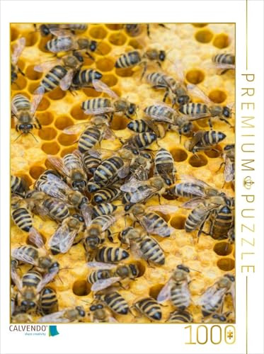 CALVENDO Puzzle Bienenbrut Wird produziert | 1000 Teile Lege-Größe 48 x 64 cm Foto-Puzzle für glückliche Stunden