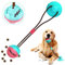 Juguete para Perros Molar,Pet Molar Bite Toy,Pelota de Goma para morder el Perro con Ventosa interactiva, Juguete para Masticar,Pelota de Entrenamiento para Cachorro Cuidado Limpieza de Dientes (Azul)