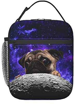 KUOAICY Lunchbox mit Mops-Motiv, wiederverwendbar, isoliert, Lunch-Tasche, Thermo-Kühltasche für Jungen, Mädchen, Schule, Männer, Frauen, Strand, Picknick, Reisen
