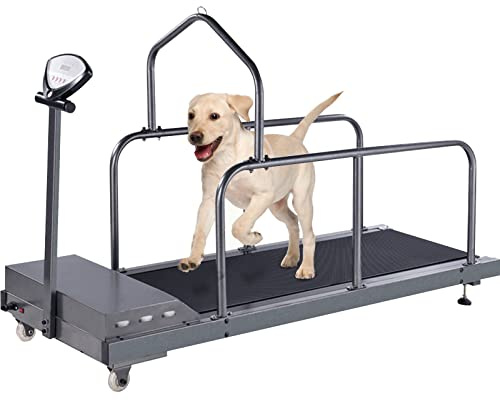 Tapis Roulant per Cani di Taglia Grande, Media e Piccola - Attrezzatura per Allenamento Canino
