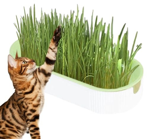 Cat Grass Set - Cat Snacks Set, Grass Plant Growing | Cat Grass Shape Sprouting Tray, Digestion Pet Creative Food Plant Pot for Indoor Home Catnip Indoor Nursery Balcony Patio, White, 21x9.2x4.5cm